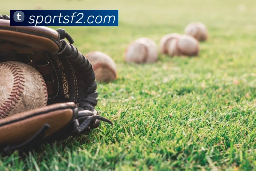 体育下注全站App